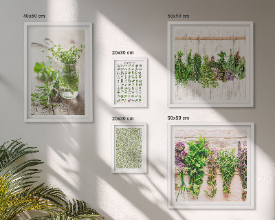 Set di quadri incorniciati Idee per decorazioni a base di erbe aromatiche