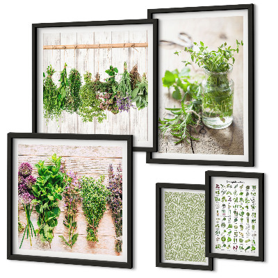 Set di quadri incorniciati Idee per decorazioni a base di erbe aromatiche