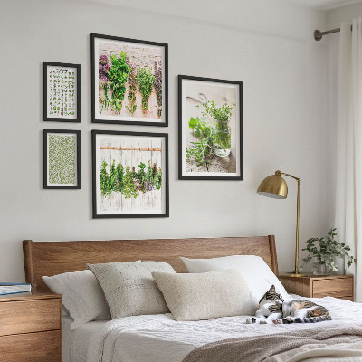 Set di quadri incorniciati Idee per decorazioni a base di erbe aromatiche