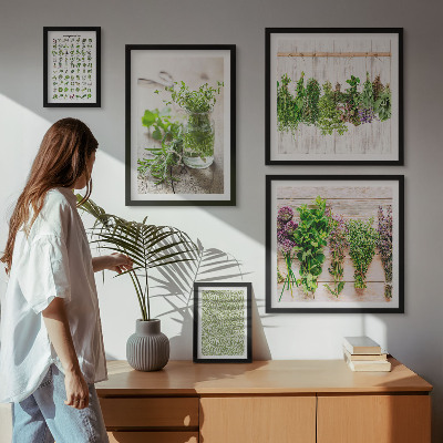 Set di quadri incorniciati Idee per decorazioni a base di erbe aromatiche