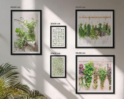 Set di quadri incorniciati Idee per decorazioni a base di erbe aromatiche