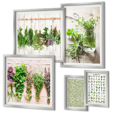 Set di quadri incorniciati Idee per decorazioni a base di erbe aromatiche