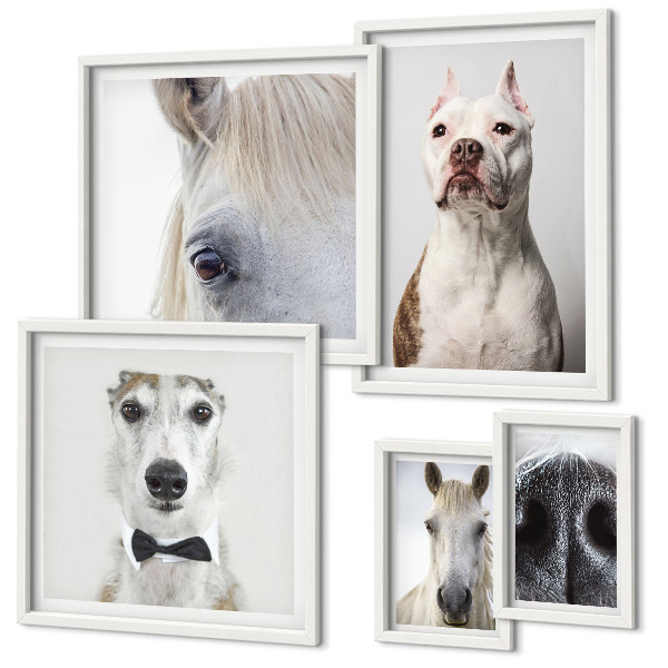 Polittico con cornice Ritratti di animali moderni