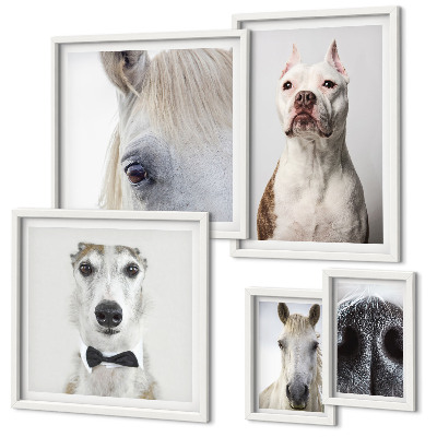 Polittico con cornice Ritratti di animali moderni
