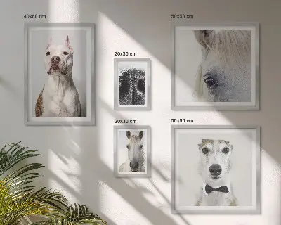 Ritratti di animali moderni polittico con cornice