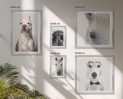 Polittico con cornice Ritratti di animali moderni