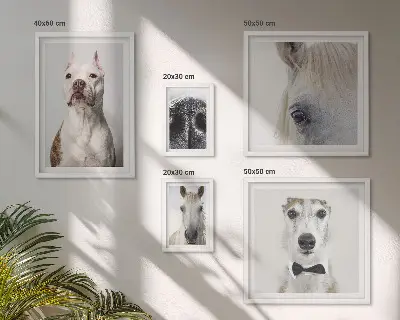 Ritratti di animali moderni polittico con cornice