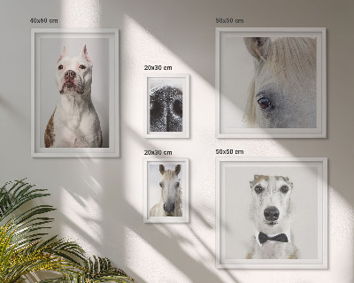 Polittico con cornice Ritratti di animali moderni