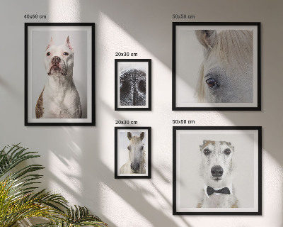 Polittico con cornice Ritratti di animali moderni
