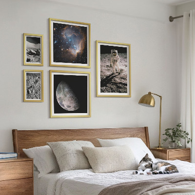 Set di 5 quadri Scoperte e segreti cosmici