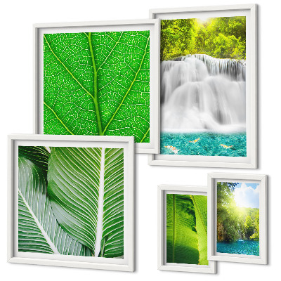 Set di 5 quadri Cascate tropicali di palme