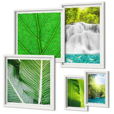 Cascate tropicali di palme set da 5 quadri