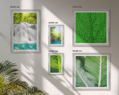 Set di 5 quadri Cascate tropicali di palme