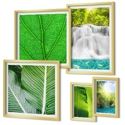 Set di 5 quadri Cascate tropicali di palme