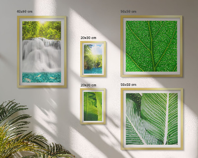 Set di 5 quadri Cascate tropicali di palme
