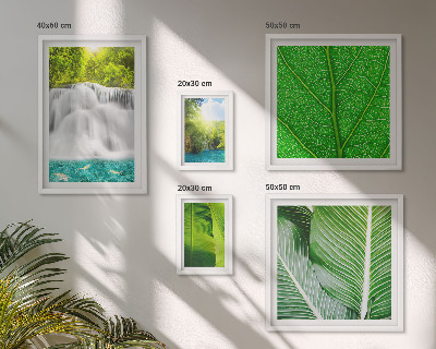 Set di 5 quadri Cascate tropicali di palme