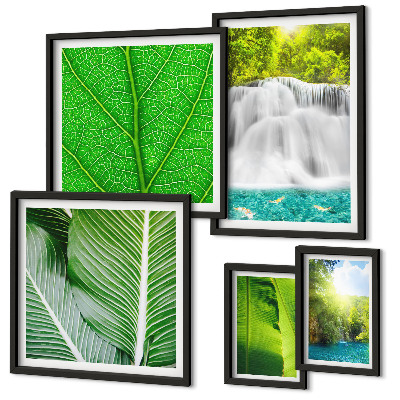 Set di 5 quadri Cascate tropicali di palme