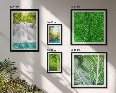Set di 5 quadri Cascate tropicali di palme
