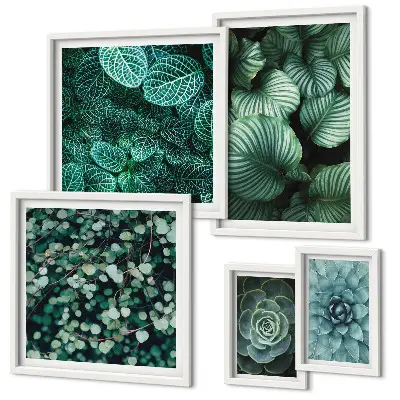 Set di quadri incorniciati con foglie di piante succulente e motivi naturali