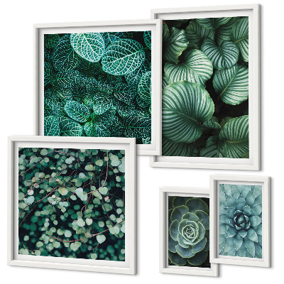 Set di quadri incorniciati foglie di piante succulente natura