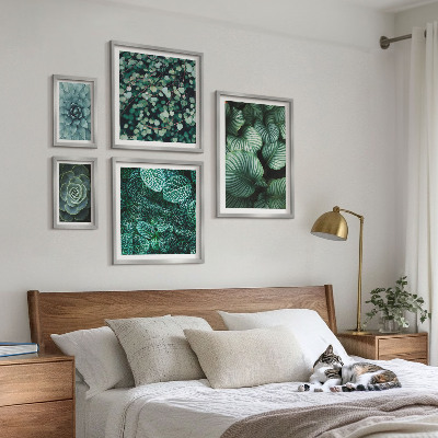 Set di quadri incorniciati foglie di piante succulente natura