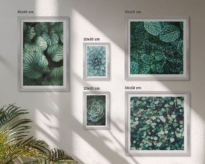 Set di quadri incorniciati foglie di piante succulente natura