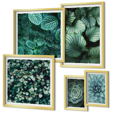 Set di quadri incorniciati foglie di piante succulente natura