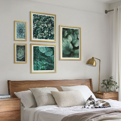 Set di quadri incorniciati foglie di piante succulente natura