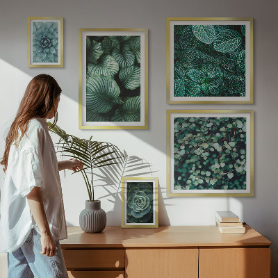 Set di quadri incorniciati foglie di piante succulente natura