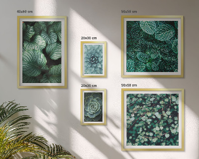 Set di quadri incorniciati foglie di piante succulente natura