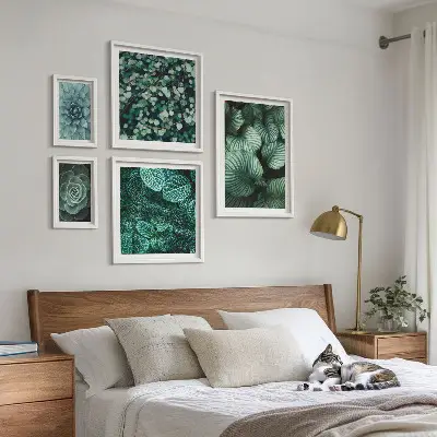 Set di quadri incorniciati con foglie di piante succulente e motivi naturali
