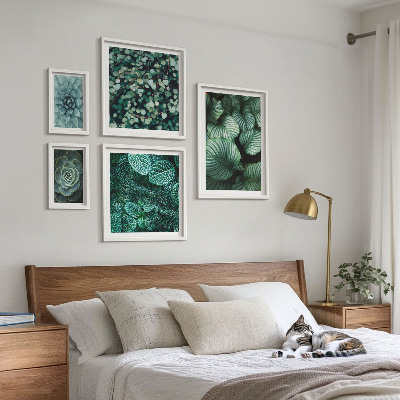 Set di quadri incorniciati foglie di piante succulente natura