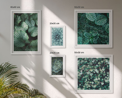 Set di quadri incorniciati foglie di piante succulente natura