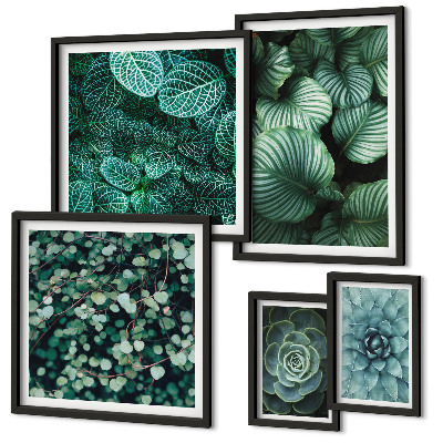 Set di quadri incorniciati foglie di piante succulente natura