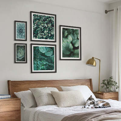 Set di quadri incorniciati foglie di piante succulente natura