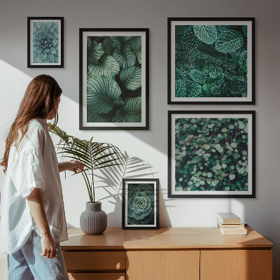 Set di quadri incorniciati foglie di piante succulente natura