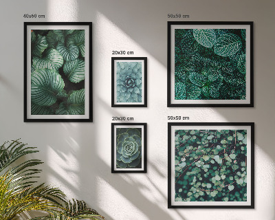 Set di quadri incorniciati foglie di piante succulente natura