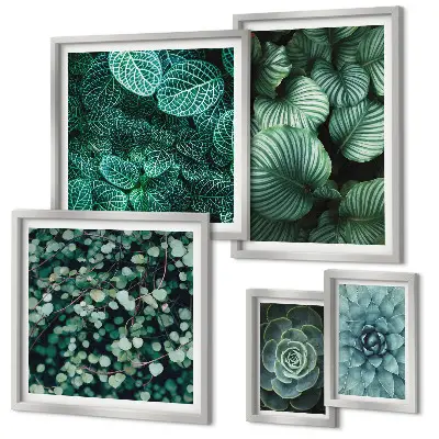Set di quadri incorniciati con foglie di piante succulente e motivi naturali