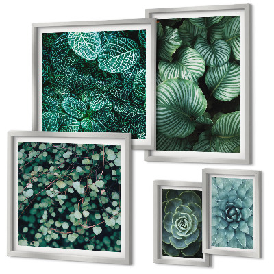 Set di quadri incorniciati foglie di piante succulente natura