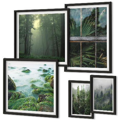 Set di 5 quadri Paesaggi verdi, foreste, vegetazione