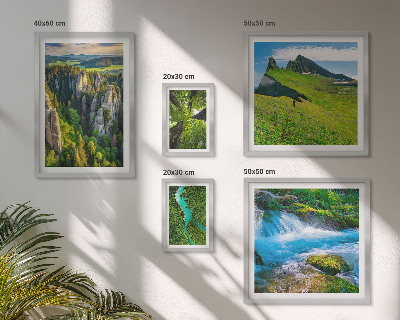 Set di 5 quadri Paesaggi montagne fiumi foreste