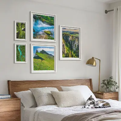 Set di 5 quadri con paesaggi di montagne fiumi e foreste