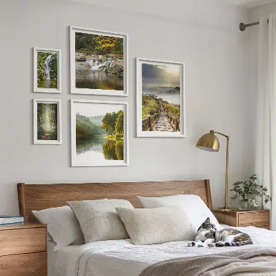 Set di 5 quadri con paesaggi naturali, cascate e sentieri forestali
