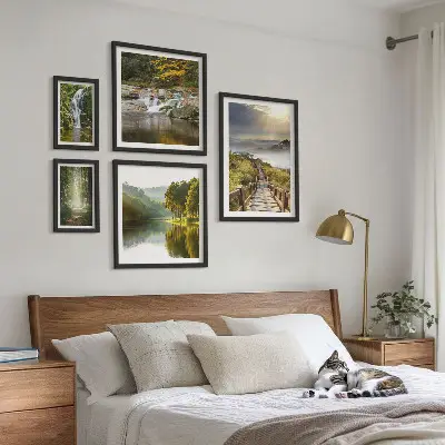 Set di 5 quadri con paesaggi naturali, cascate e sentieri forestali