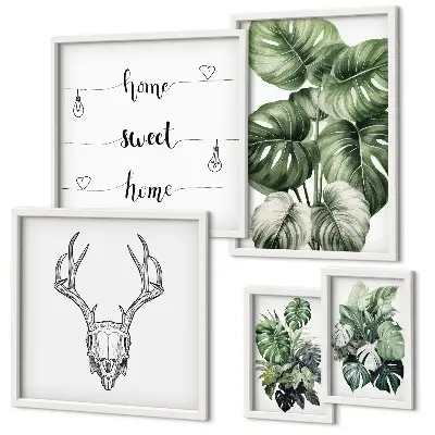 Set di 5 quadri con motivi vegetali e natura