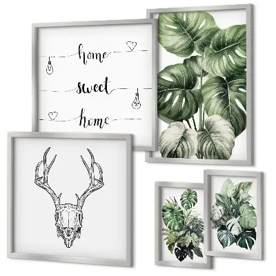 Set di 5 quadri con motivi vegetali e natura