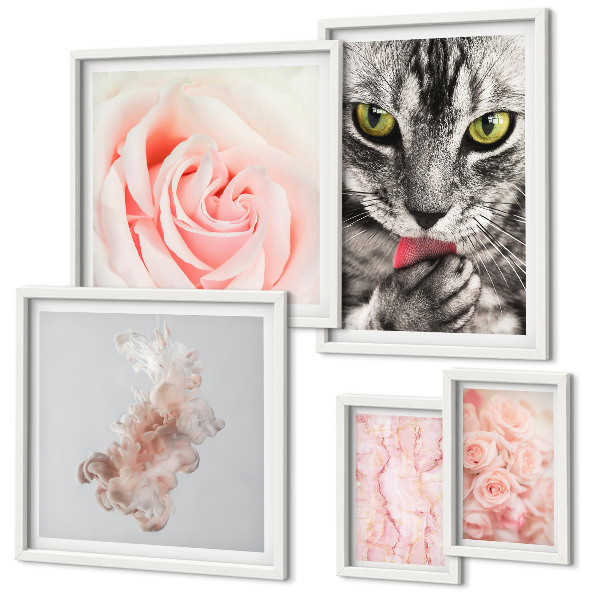 Set di quadri incorniciati Gatti rose delicate sfumature