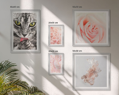 Set di quadri incorniciati Gatti rose delicate sfumature