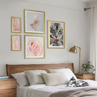 Set di quadri incorniciati Gatti rose delicate sfumature