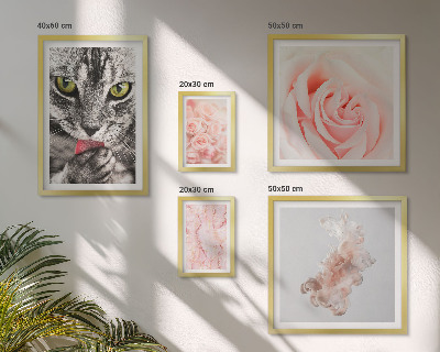 Set di quadri incorniciati Gatti rose delicate sfumature